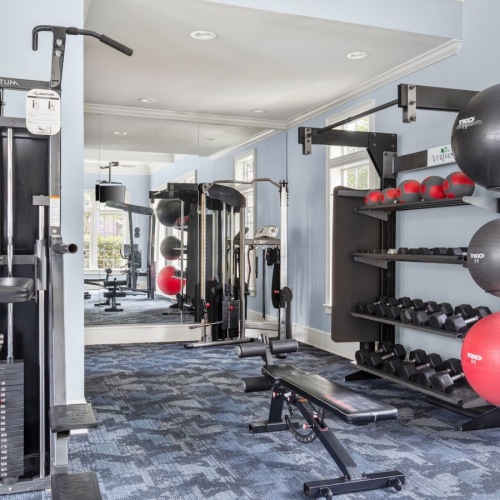 State-of-the-art amenities fitness center with ample machines