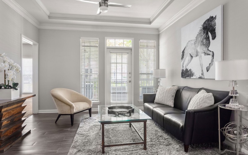 Spacious and well-lit living spaces living room with large windows