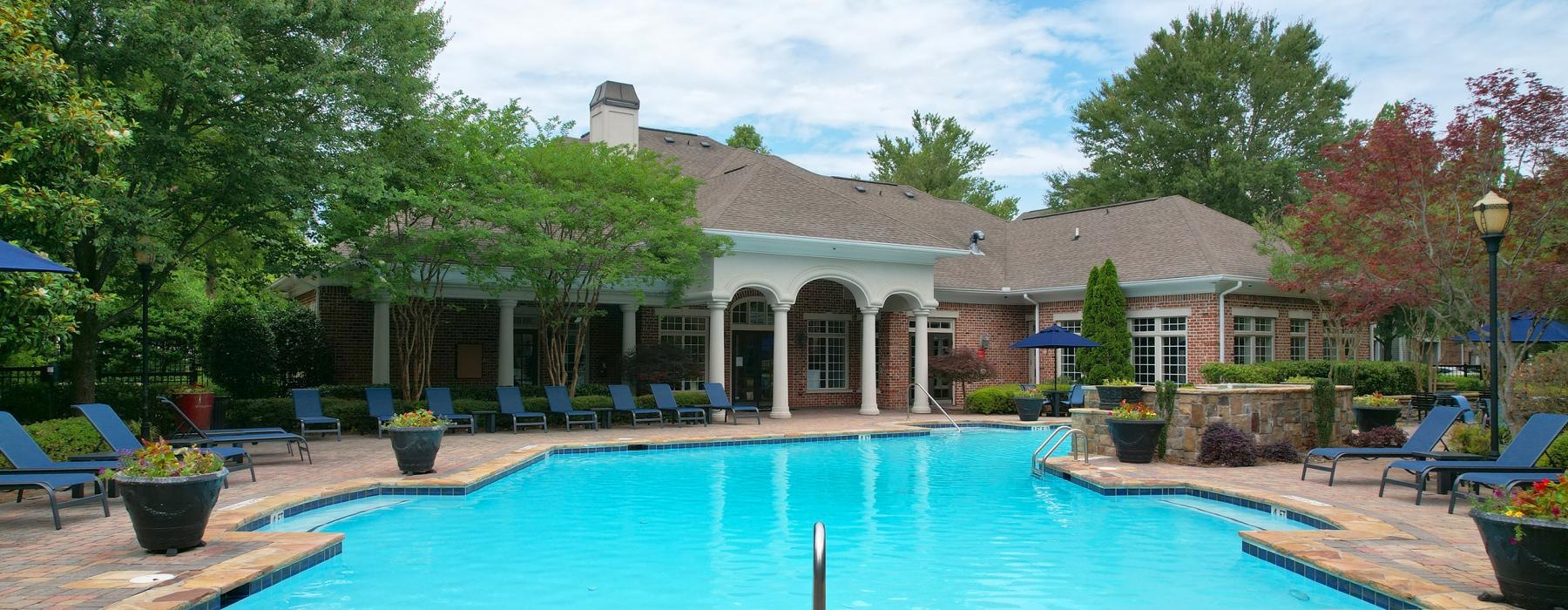 a swimming pool and a tree